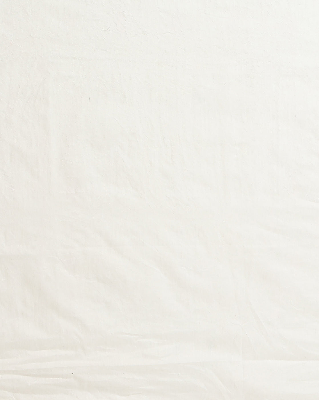 Dazzling Eri Tussar Silk Embroidered Cream Saree