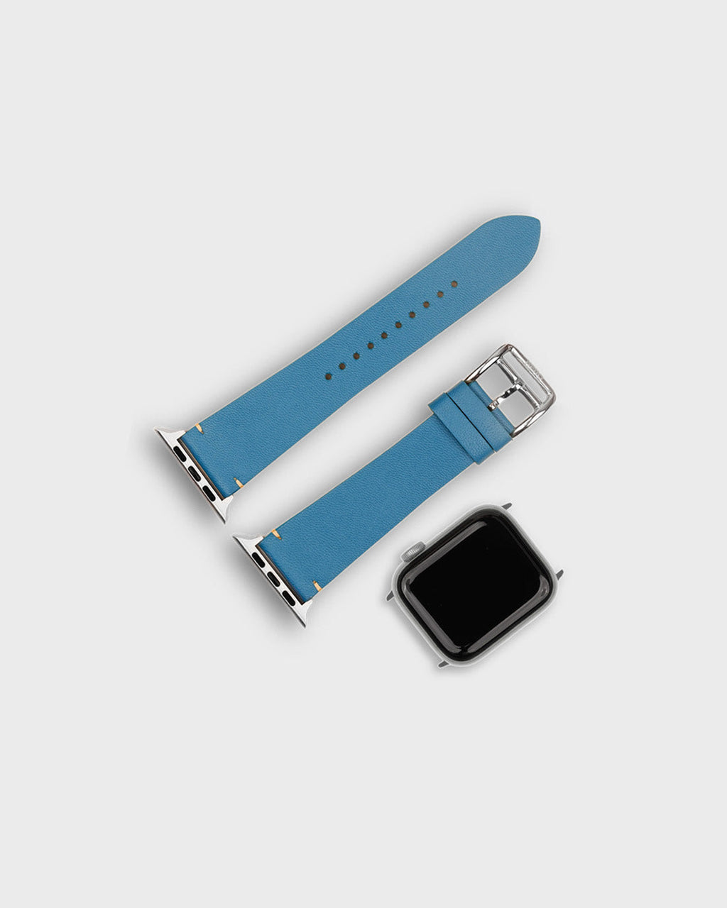 IGUANA BLUE__