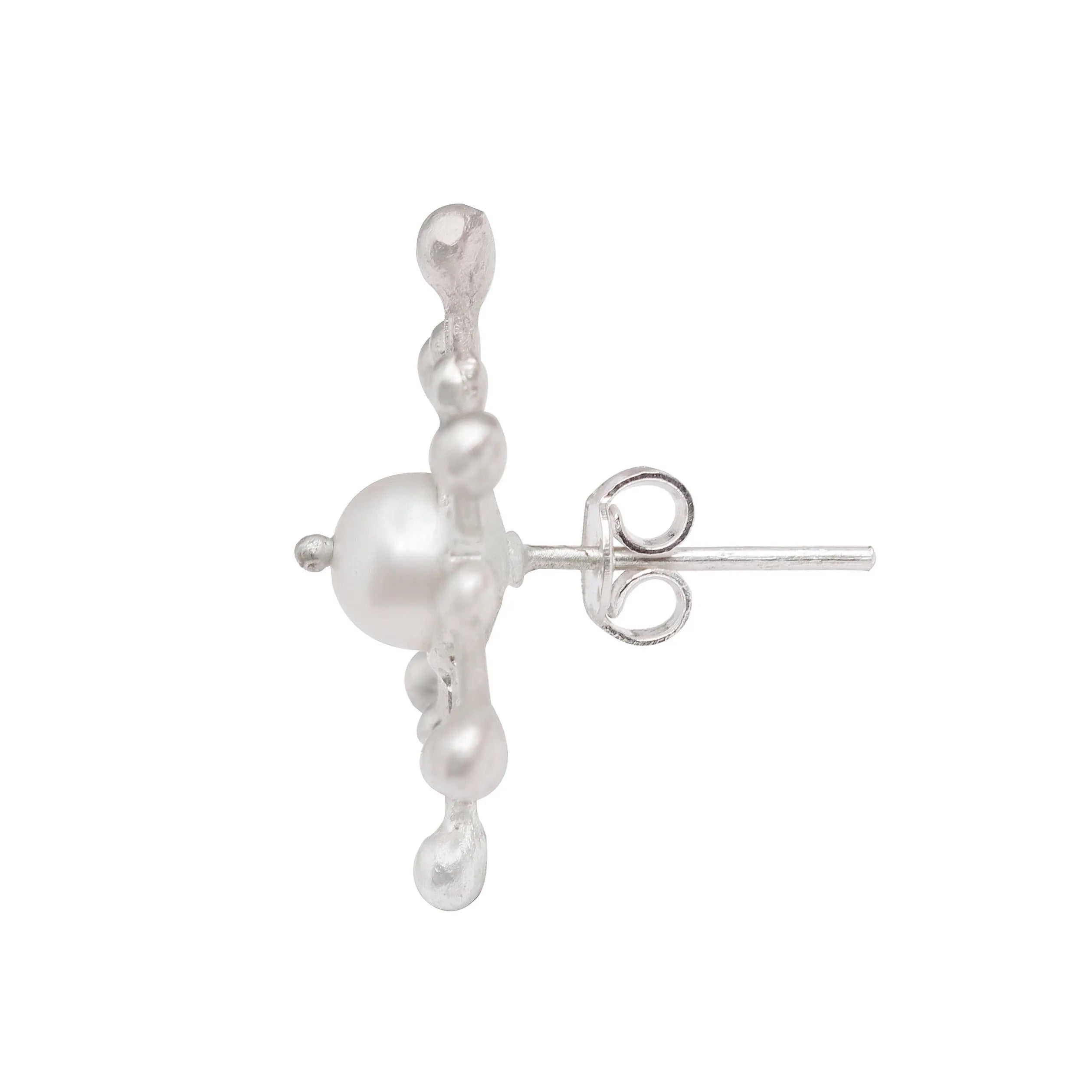 Silver Starfish Earrings