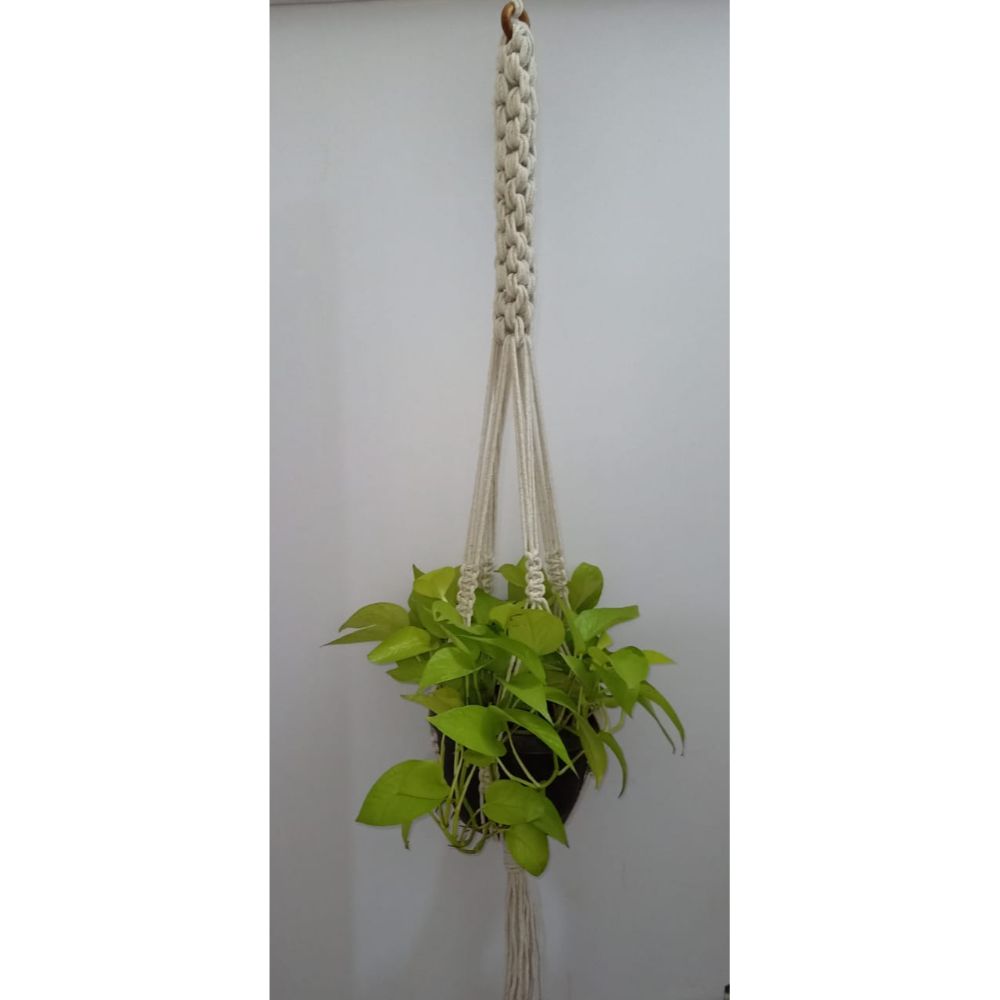 Scooby Plant Hanger
Size: 40" Long 
Material : Cottan 
Colour : Natural White-Indiehaat